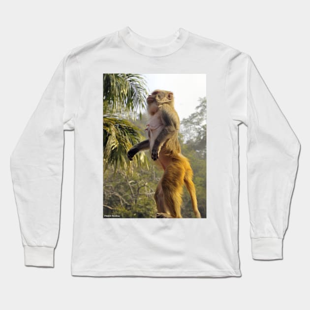 Amazing Monkey Stand Up for your rights Long Sleeve T-Shirt by PlanetMonkey